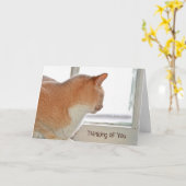 Cat die je denkt kaart (Gele Bloem)