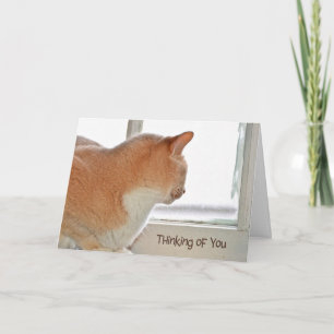Cat die je denkt kaart