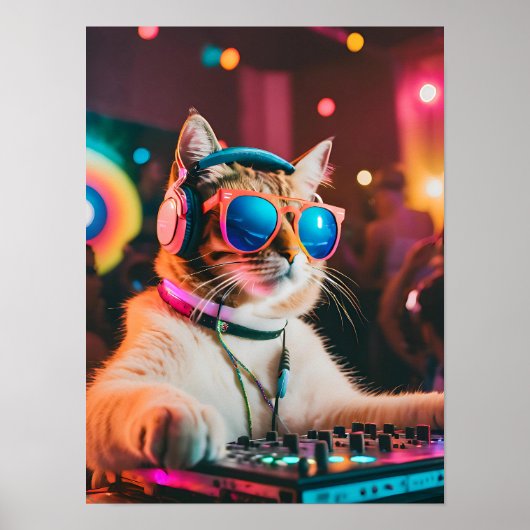Cat DJ Party Vibes, Cat Lover Gift Poster (Voorkant)