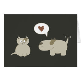 Cat Dog Funny Love First Sight