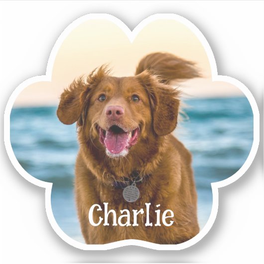 Cat Dog Paw Photo Custom Cut Vinyl Sticker (Voorkant)