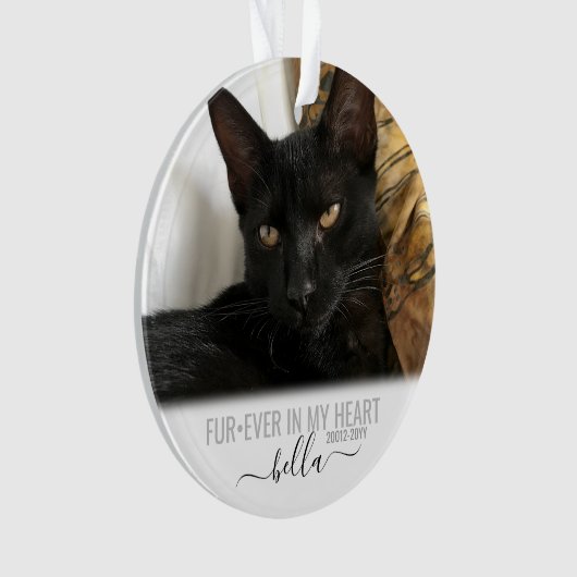 Cat Dog Pet Loss Memorial Ornament (voorkant)