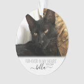 Cat Dog Pet Loss Memorial Ornament (voorkant)