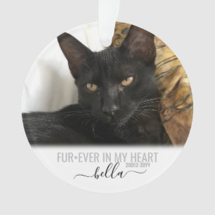Cat Dog Pet Loss Memorial Ornament
