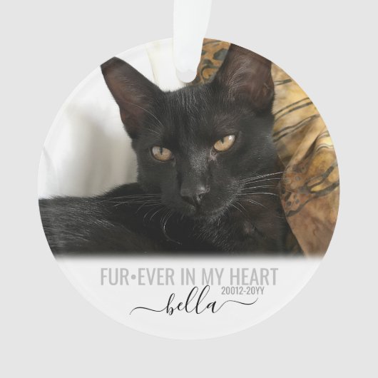 Cat Dog Pet Loss Memorial Ornament (voorkant)