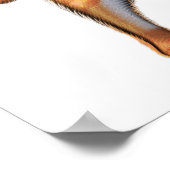 Cat Double Bass Player Poster (Hoek)