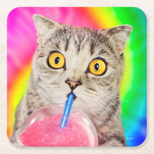 Cat Drink Slushie Kartonnen Onderzetters