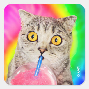 Cat Drink Slushie Vierkante Sticker
