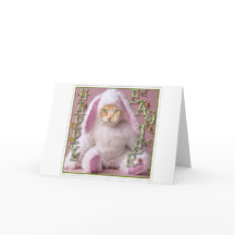 Cat Easter Bunny Claude