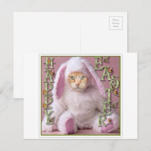 Cat Easter Bunny Claude Feestdagenkaart (Voorkant / Achterkant)