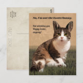 Cat-Easterbunny 😸 🐰 Briefkaart (Voorkant / Achterkant)