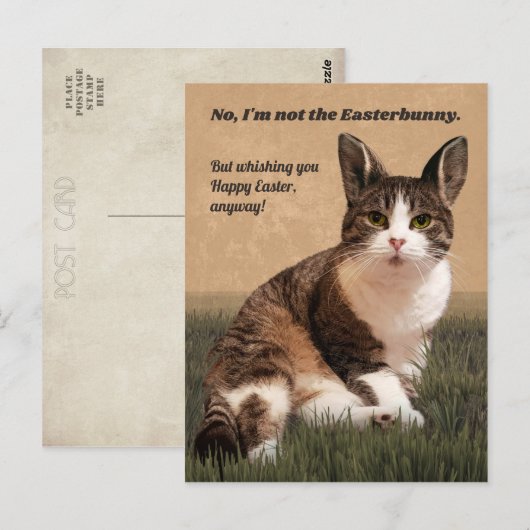 Cat-Easterbunny 😸 🐰 Briefkaart (Voorkant / Achterkant)
