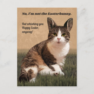 Cat-Easterbunny 😸 🐰 Briefkaart