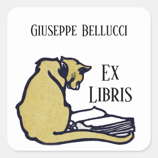 Cat en Boek Ex Libris Boekplaat Sticker (Voorkant)