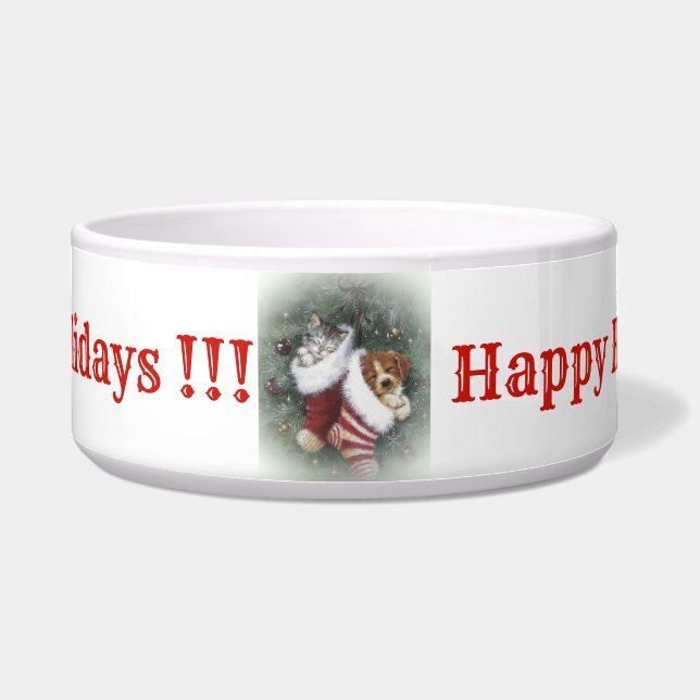 Cat en Dog Bowl Voerbakje (Voorkant)