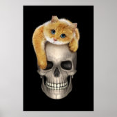 Cat en schedel poster (Voorkant)
