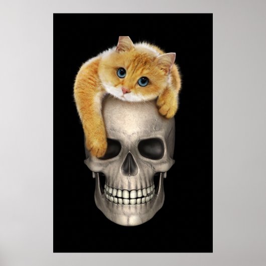 Cat en schedel poster (Voorkant)