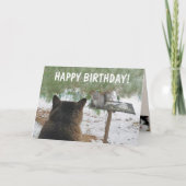 Cat en Squirrel Funny Birthday Kaart (Voorkant)