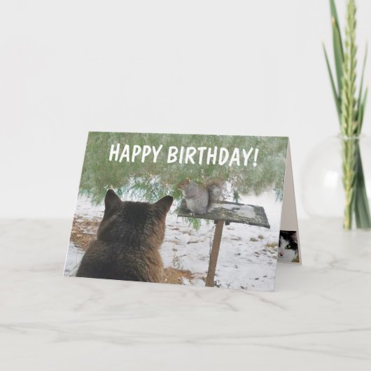 Cat en Squirrel Funny Birthday Kaart (Voorkant)