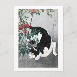 Cat en Tomato, Takahashi Shotei Briefkaart