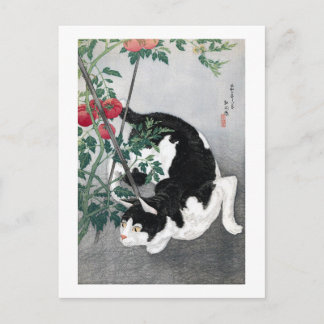 Cat en Tomato, Takahashi Shotei Briefkaart