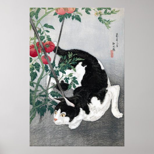 Cat en Tomato, Takahashi Shotei Poster (Voorkant)