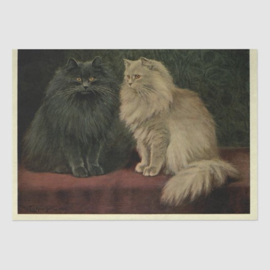 Cat Ephemera Decoupage Blu Cream Perzen Tissuepapier (Voorkant)