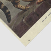 Cat Ephemera Decoupage Bruin Sinaasappel Tabby Tissuepapier (Detail)