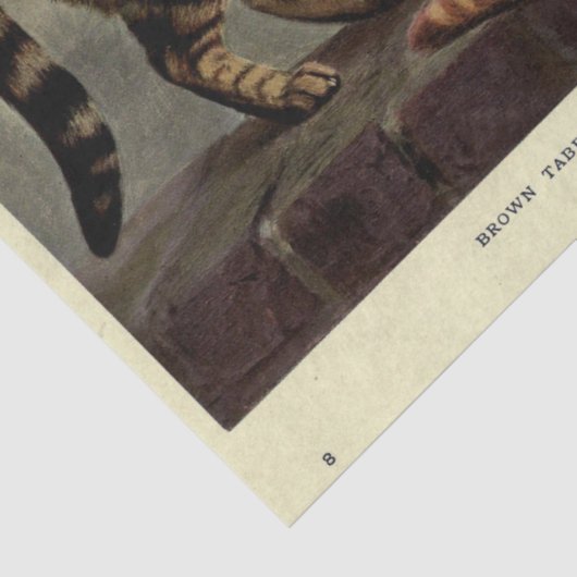 Cat Ephemera Decoupage Bruin Sinaasappel Tabby Tissuepapier (Detail)