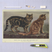 Cat Ephemera Decoupage Bruin Sinaasappel Tabby Tissuepapier (Craft)