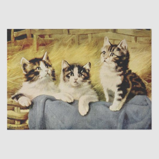 Cat Ephemera Decoupage Kittens in de schuur Tissuepapier (Voorkant)