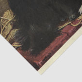 Cat Ephemera Decoupage Zwart Wit Perzen Tissuepapier (Detail)