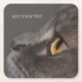 Cat Eye-Macro, Shirley Taylor Square Kartonnen Onderzetters (Voorkant)