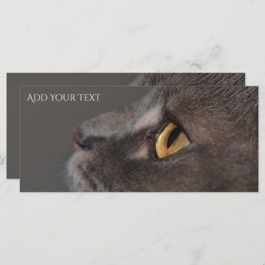 Cat Eye-Macro van Shirley Taylor (Voorkant / Achterkant)