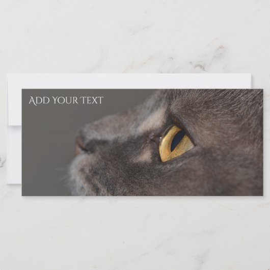 Cat Eye-Macro van Shirley Taylor (Voorkant)