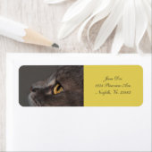 Cat Eye-Macro van Shirley Taylor Etiket (Insitu)