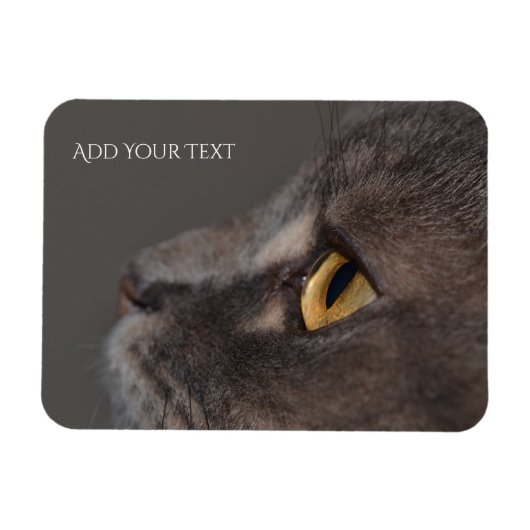 Cat Eye-Macro van Shirley Taylor Magneet (Horizontaal)