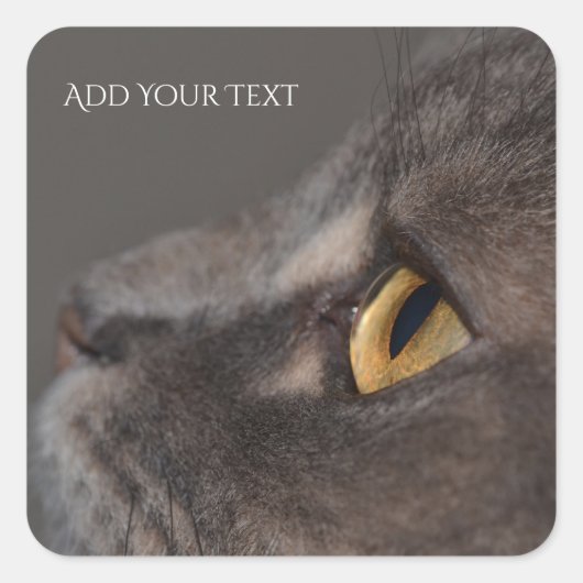 Cat Eye-Macro van Shirley Taylor Vierkante Sticker (Voorkant)