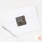 Cat Eye-Macro van Shirley Taylor Vierkante Sticker (Envelop)