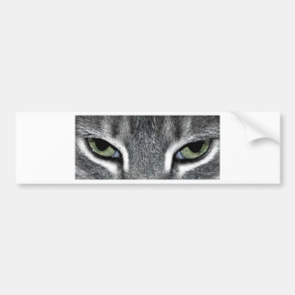 Cat Eyes Bumpersticker