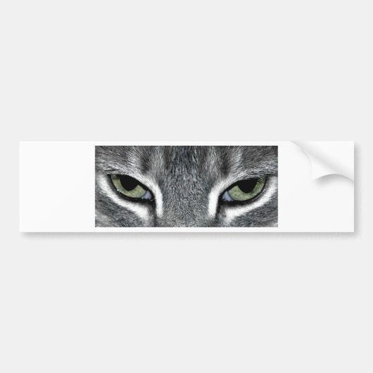 Cat Eyes Bumpersticker (Voorkant)