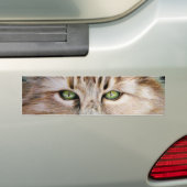 Cat Eyes Bumpersticker (Op auto)
