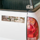 Cat Eyes Bumpersticker (Op Truck)