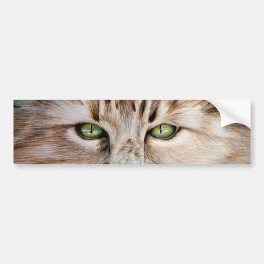 Cat Eyes Bumpersticker (Voorkant)