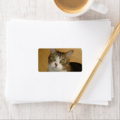 Cat Eyes Etiket (Insitu)