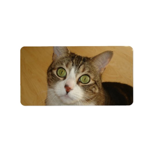 Cat Eyes Etiket (Voorkant)