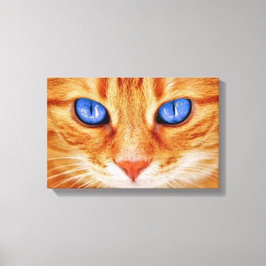 Cat Eyes Face Tiger mackerel red Cat Canvas Afdruk (Voorkant)