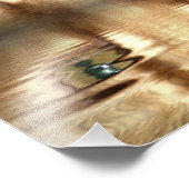 Cat Eyes Foto Afdruk (Hoek)