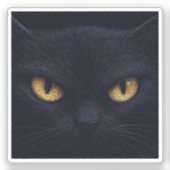 Cat Eyes In The Dark beroemd gemaakt door Hallowee Sticker (Voorkant)