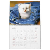 Cat Eyes Kalender (Mar 2027)